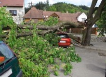 Kwikfynd Tree Cutting Services
mountadrah